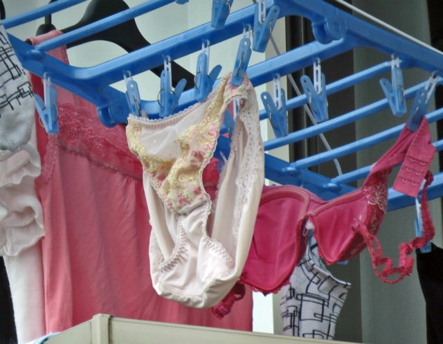 隣の奥さんのパンチラ洗濯物投稿画像&無修正綺麗な女性の性器図鑑